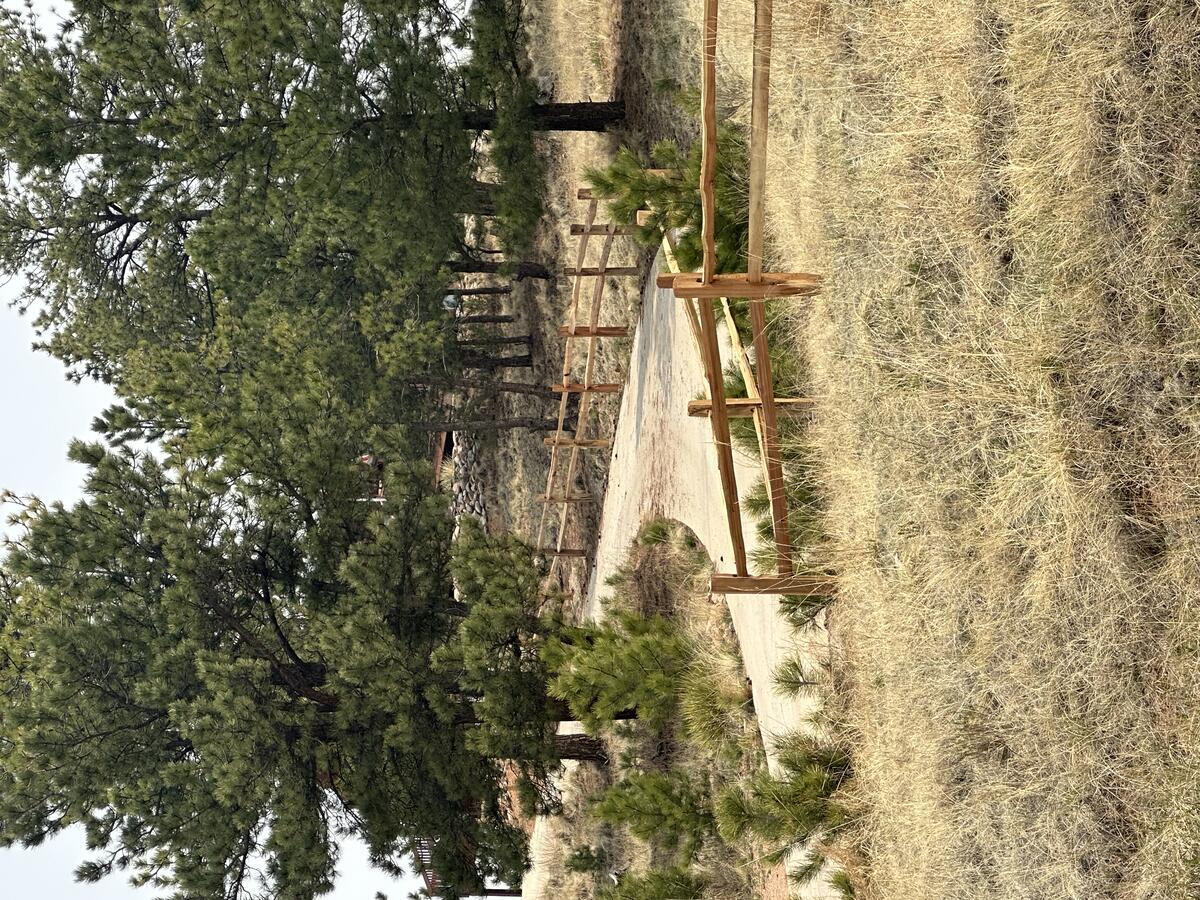 Split Rail Fencing by Schroeder Construction LLC — Teller County Colorado