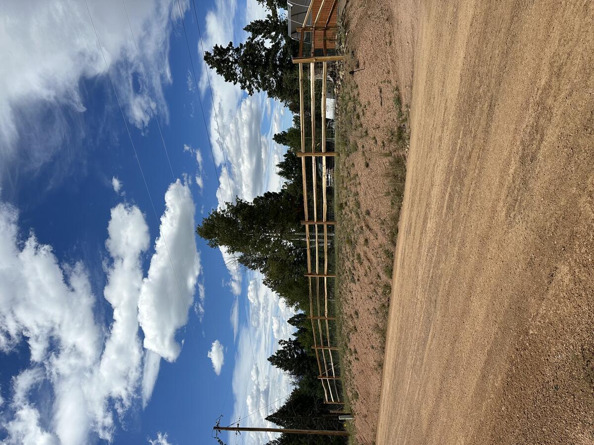 Cedar split rail fence by Schroeder Construction LLC — Teller County Colorado